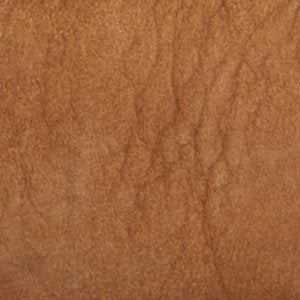 Gold Cup? Authentic Original? 1 Eye Boat Shoe - Image 10