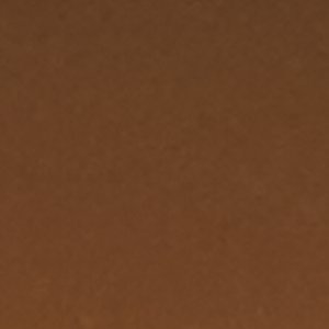 Saltwater? 1 Eye Duck Shoe - Image 7