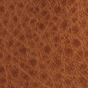 Saltwater? Duck Chelsea Boot - Image 7