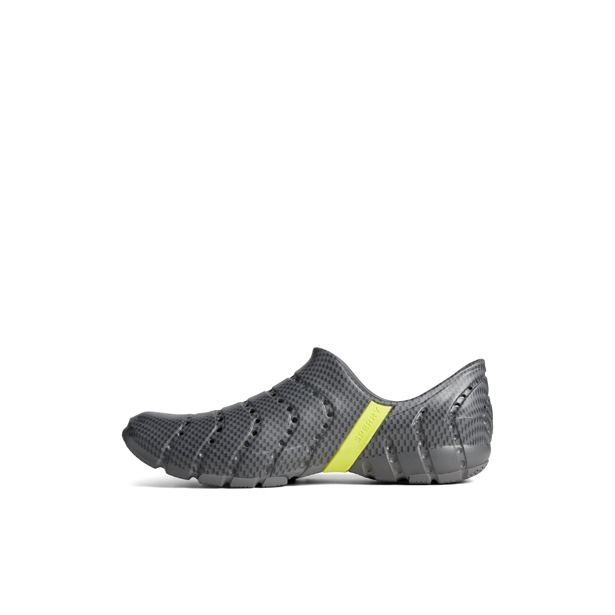 Water Strider - Image 2