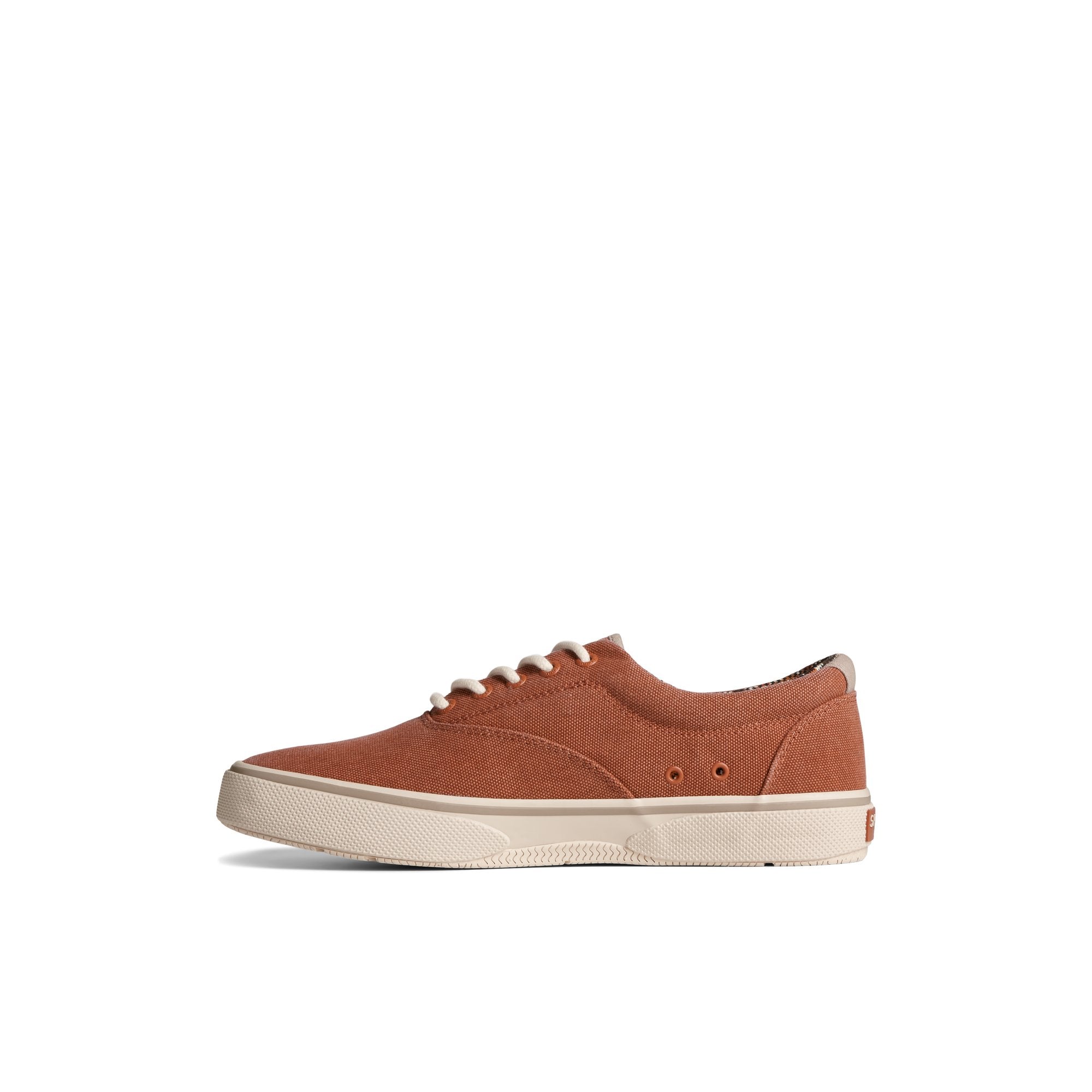 Halyardcvcnv_mm - Image 2